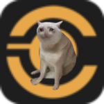 eCash Cat: a cat sitting in front of the eCash logo